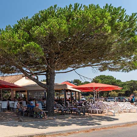 glacier La Palmyre saint palais Royan Charente Maritime