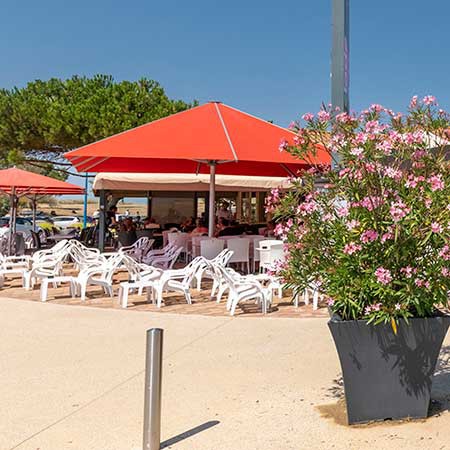 glacier La Palmyre saint palais Royan Charente Maritime